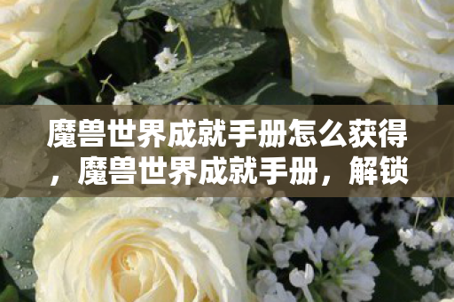 魔兽世界成就手册怎么获得,魔兽世界成就手册,解锁你的游戏之旅 魔兽世界成就手册怎么获得,魔兽世界成就手册,解锁你的游戏之旅