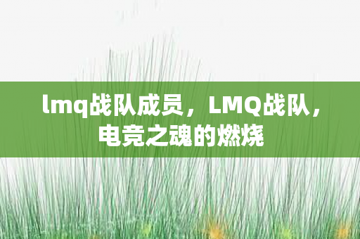 lmq战队成员，LMQ战队，电竞之魂的燃烧