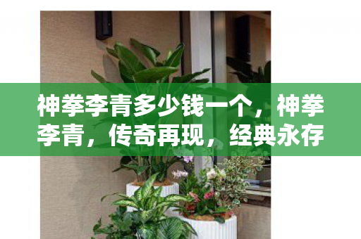 神拳李青多少钱一个,神拳李青,传奇再现,经典永存 神拳李青多少钱一个,神拳李青,传奇再现,经典永存