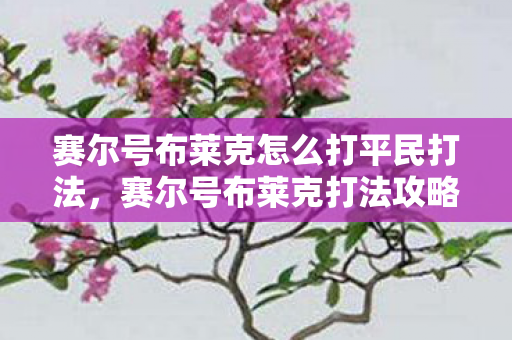 赛尔号布莱克怎么打平民打法，赛尔号布莱克打法攻略