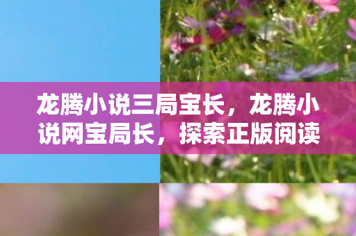 龙腾小说三局宝长,龙腾小说网宝局长,探索正版阅读的新纪元 龙腾小说三局宝长,龙腾小说网宝局长,探索正版阅读的新纪元
