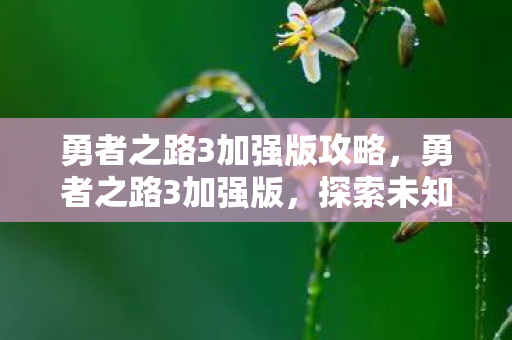勇者之路3加强版攻略,勇者之路3加强版,探索未知世界的奇幻冒险 勇者之路3加强版攻略,勇者之路3加强版,探索未知世界的奇幻冒险