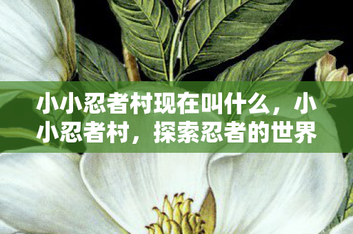 小小忍者村现在叫什么,小小忍者村,探索忍者的世界与成长之路 小小忍者村现在叫什么,小小忍者村,探索忍者的世界与成长之路
