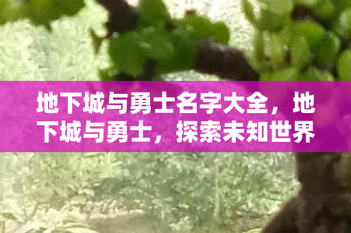 地下城与勇士名字大全,地下城与勇士,探索未知世界的勇士之旅 地下城与勇士名字大全,地下城与勇士,探索未知世界的勇士之旅