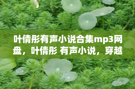 叶倩彤有声小说合集mp3网盘，叶倩彤 有声小说，穿越时空的浪漫邂逅