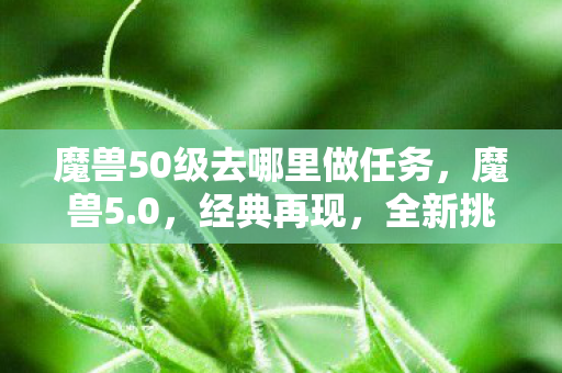 魔兽50级去哪里做任务,魔兽5.0,经典再现,全新挑战 魔兽50级去哪里做任务,魔兽5.0,经典再现,全新挑战