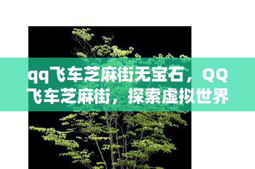 qq飞车芝麻街无宝石，QQ飞车芝麻街，探索虚拟世界的无限可能