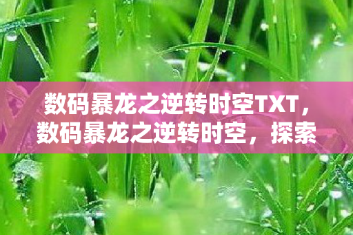 数码暴龙之逆转时空TXT,数码暴龙之逆转时空,探索虚拟世界的无限可能 数码暴龙之逆转时空TXT,数码暴龙之逆转时空,探索虚拟世界的无限可能