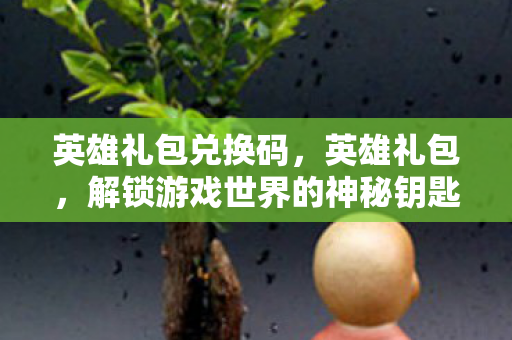 英雄礼包兑换码，英雄礼包，解锁游戏世界的神秘钥匙