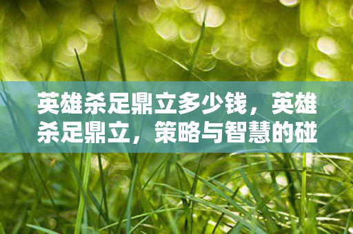 英雄杀足鼎立多少钱，英雄杀足鼎立，策略与智慧的碰撞