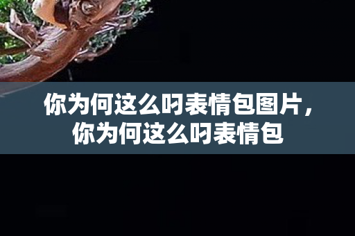 你为何这么叼表情包图片，你为何这么叼表情包