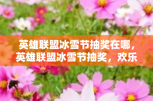 英雄联盟冰雪节抽奖在哪，英雄联盟冰雪节抽奖，欢乐与惊喜的冬日盛宴