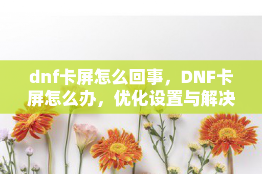 dnf卡屏怎么回事,DNF卡屏怎么办,优化设置与解决策略 dnf卡屏怎么回事,DNF卡屏怎么办,优化设置与解决策略