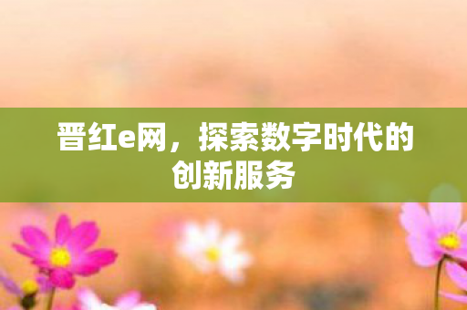 晋红e网,探索数字时代的创新服务 晋红e网,探索数字时代的创新服务