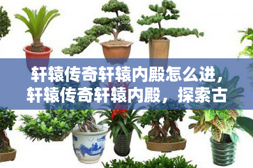 轩辕传奇轩辕内殿怎么进,轩辕传奇轩辕内殿,探索古老传说的神秘殿堂 轩辕传奇轩辕内殿怎么进,轩辕传奇轩辕内殿,探索古老传说的神秘殿堂