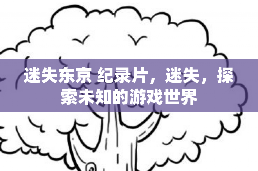 迷失东京 纪录片，迷失，探索未知的游戏世界