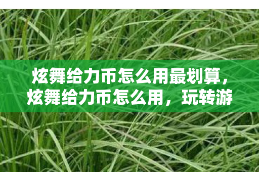 炫舞给力币怎么用最划算，炫舞给力币怎么用，玩转游戏，畅享福利