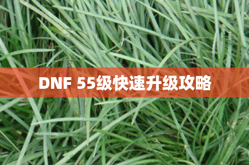 DNF 55级快速升级攻略 DNF 55级快速升级攻略