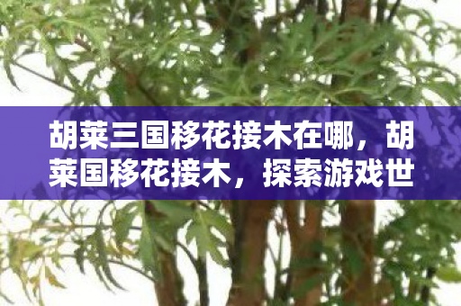 胡莱三国移花接木在哪，胡莱国移花接木，探索游戏世界的另类玩法