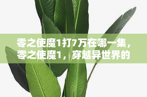 零之使魔1打7万在哪一集，零之使魔1，穿越异世界的奇幻冒险