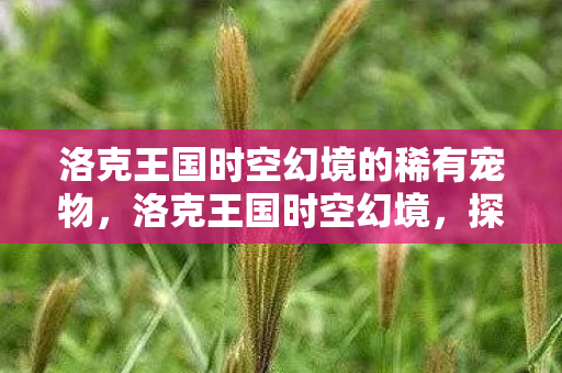 洛克王国时空幻境的稀有宠物,洛克王国时空幻境,探索神秘时空的奇幻之旅 洛克王国时空幻境的稀有宠物,洛克王国时空幻境,探索神秘时空的奇幻之旅