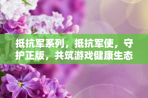 抵抗军系列,抵抗军使,守护正版,共筑游戏健康生态 抵抗军系列,抵抗军使,守护正版,共筑游戏健康生态