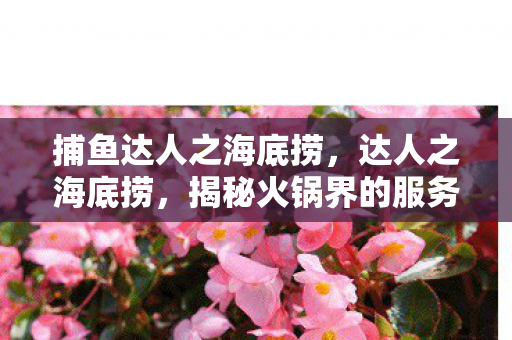 捕鱼达人之海底捞,达人之海底捞,揭秘火锅界的服务之王 捕鱼达人之海底捞,达人之海底捞,揭秘火锅界的服务之王