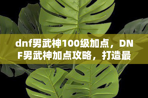 dnf男武神100级加点，DNF男武神加点攻略，打造最强战斗力的关键