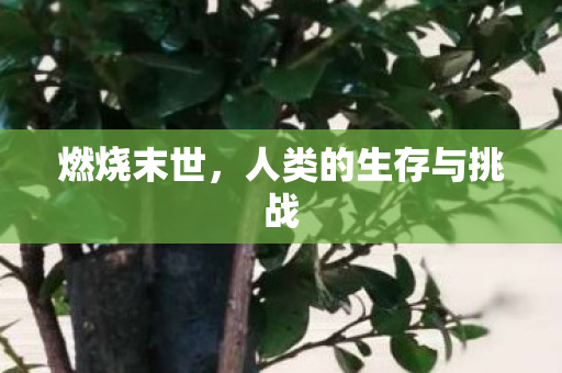 燃烧末世,人类的生存与挑战 燃烧末世,人类的生存与挑战