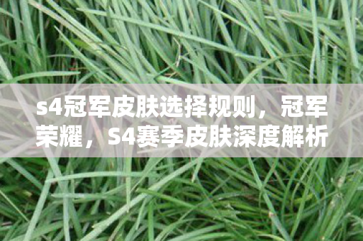 s4冠军皮肤选择规则，冠军荣耀，S4赛季皮肤深度解析