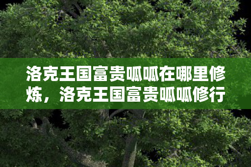 洛克王国富贵呱呱在哪里修炼,洛克王国富贵呱呱修行之地揭秘 洛克王国富贵呱呱在哪里修炼,洛克王国富贵呱呱修行之地揭秘