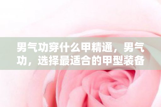 男气功穿什么甲精通,男气功,选择最适合的甲型装备 男气功穿什么甲精通,男气功,选择最适合的甲型装备
