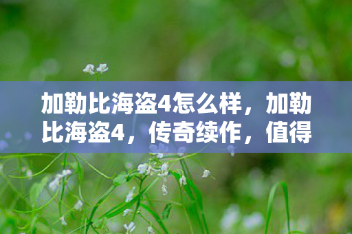 加勒比海盗4怎么样,加勒比海盗4,传奇续作,值得一看吗? 加勒比海盗4怎么样,加勒比海盗4,传奇续作,值得一看吗?
