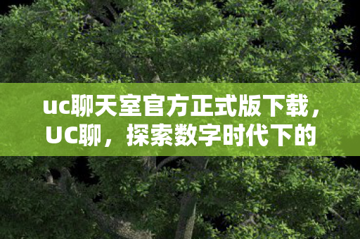 uc聊天室官方正式版下载,UC聊,探索数字时代下的社交新风尚 uc聊天室官方正式版下载,UC聊,探索数字时代下的社交新风尚