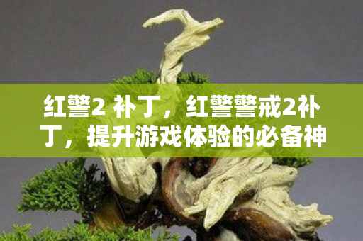 红警2 补丁,红警警戒2补丁,提升游戏体验的必备神器 红警2 补丁,红警警戒2补丁,提升游戏体验的必备神器