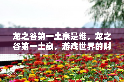 龙之谷第一土豪是谁,龙之谷第一土豪,游戏世界的财富传奇 龙之谷第一土豪是谁,龙之谷第一土豪,游戏世界的财富传奇
