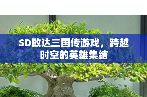 SD敢达三国传游戏,跨越时空的英雄集结 SD敢达三国传游戏,跨越时空的英雄集结