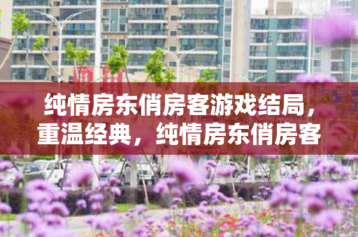 纯情房东俏房客游戏结局,重温经典,纯情房东俏房客游戏的魅力与回忆 纯情房东俏房客游戏结局,重温经典,纯情房东俏房客游戏的魅力与回忆
