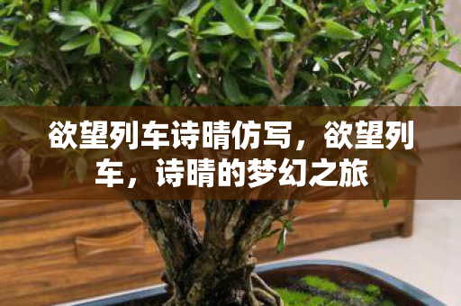 欲望列车诗晴仿写,欲望列车,诗晴的梦幻之旅 欲望列车诗晴仿写,欲望列车,诗晴的梦幻之旅