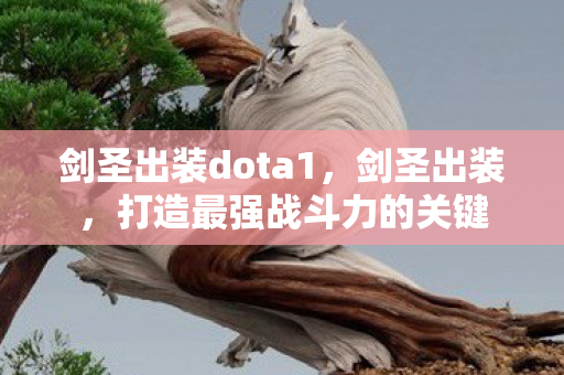 剑圣出装dota1，剑圣出装，打造最强战斗力的关键