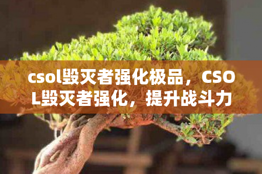 csol毁灭者强化极品,CSOL毁灭者强化,提升战斗力的关键 csol毁灭者强化极品,CSOL毁灭者强化,提升战斗力的关键
