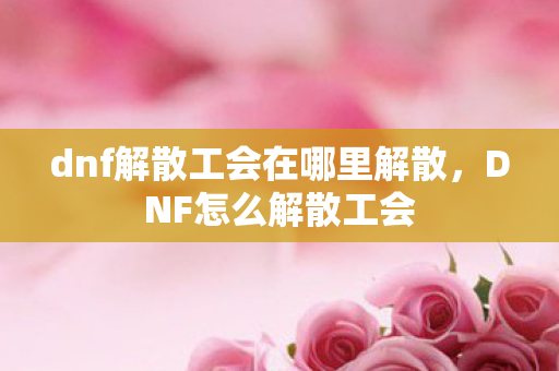dnf解散工会在哪里解散，DNF怎么解散工会