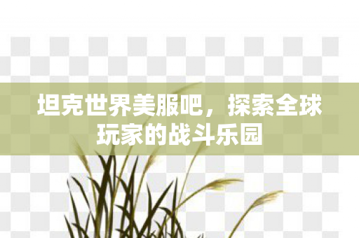 坦克世界美服吧，探索全球玩家的战斗乐园