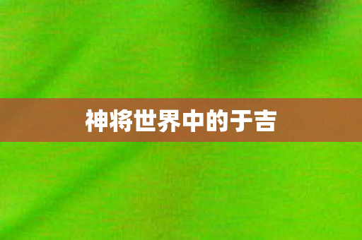 神将世界中的于吉 神将世界中的于吉