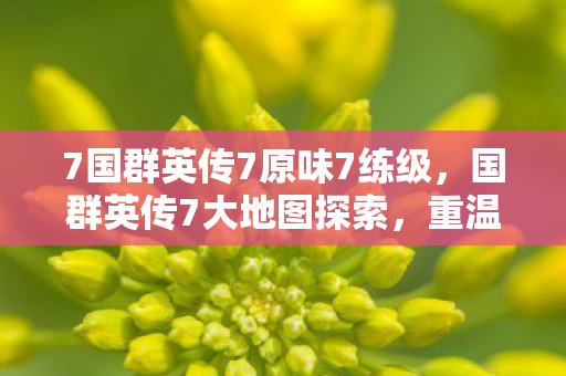 7国群英传7原味7练级，国群英传7大地图探索，重温经典，再续传奇