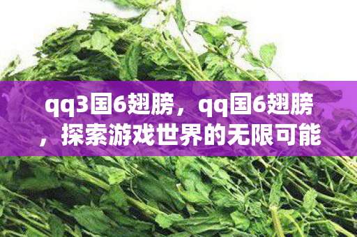 qq3国6翅膀，qq国6翅膀，探索游戏世界的无限可能