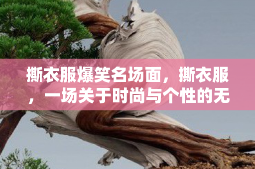 撕衣服爆笑名场面,撕衣服,一场关于时尚与个性的无声革命 撕衣服爆笑名场面,撕衣服,一场关于时尚与个性的无声革命