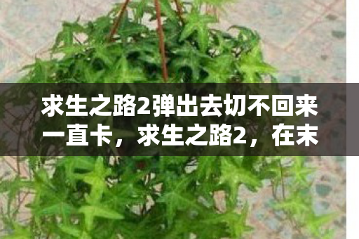 求生之路2弹出去切不回来一直卡,求生之路2,在末日中的生存智慧 求生之路2弹出去切不回来一直卡,求生之路2,在末日中的生存智慧