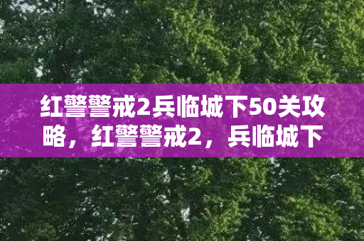 红警警戒2兵临城下50关攻略,红警警戒2,兵临城下5—策略与智慧的巅峰对决 红警警戒2兵临城下50关攻略,红警警戒2,兵临城下5—策略与智慧的巅峰对决