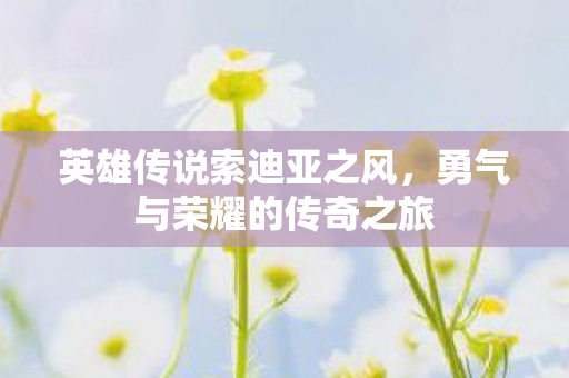 英雄传说索迪亚之风,勇气与荣耀的传奇之旅 英雄传说索迪亚之风,勇气与荣耀的传奇之旅